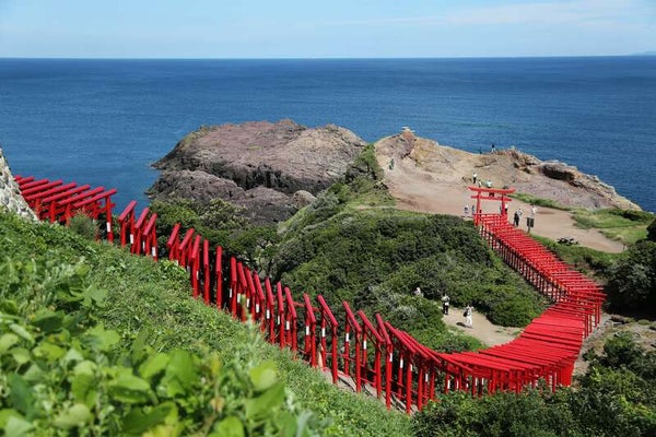 【岡山県内発】 山口ぶちええとこツアー 2日間3